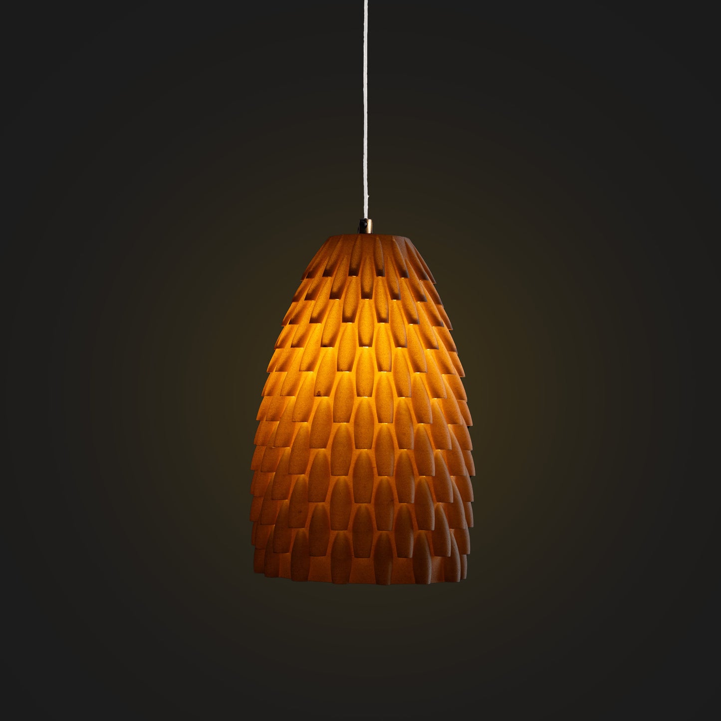 Tortle Lamp